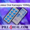 Oral Jelly Kamagra 100Mg new15